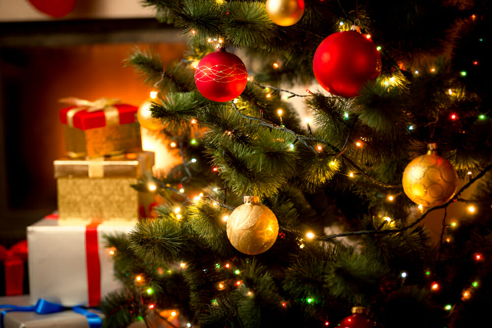 christmas, tree, fairy, lights, fairy lights, twinkle, sparkle, light, led, festive, xmas, santa, father christmas, pine, evergreen, baubles, tinsel, decoration, photography, photographing fairy lights, photo fairy light, photo tree, photo xmas, opening presents, kids, children christmas picture, turkey, family, festive times, fairy lighting, decorating christmas tree, iphotography, iphotographycourse, iphoto, learn photography, slow shutter speed, wide aperture, f/4, f4,f16,f11,f5.6, 1/60th, flash, tripod, composition, canon, nikon, dslr, camera, sony, fuji, pentax, how to photography, how to become a pro photographer, learn photography, online learning cheap, cheap learning, cheap photography, online course, elearning, distance learning, lens, slt, mirrorless, compact, camera, slr, macro lens, wide lens, zoom lens, camera flash, depth of field, motion blur